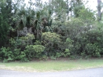 2  UPSALA PL Palm Coast, FL 32164 - Image 4232609