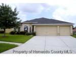 14061 Autumnwind Ct Spring Hill, FL 34609 - Image 4235192