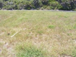 3592 N OCEANSHORE BLVD, LOT 3 Palm Coast, FL 32137 - Image 4241785