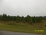 Lot 9 132nd Dr Alachua, FL 32615 - Image 4266087