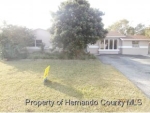 4040 Orient Dr Spring Hill, FL 34607 - Image 4267881