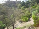 Lot 20 Mulholland Dr Beverly Hills, CA 90210 - Image 4324156