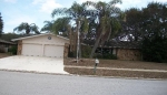 826 Winding Oak Drive Palm Harbor, FL 34683 - Image 4326086