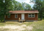 3611 Chase Bridge Rd Grayling, MI 49738 - Image 4354637