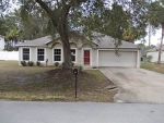 33 Royal Tern Ln Palm Coast, FL 32164 - Image 4357811