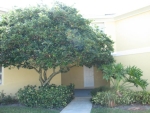 19 Se Beech Tree Ln Stuart, FL 34994 - Image 4404171