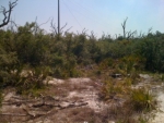 221 FLAGLER ST, LOT 11 Lehigh Acres, FL 33936 - Image 4413761