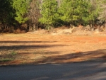 Lot Cotton Indian Creek Mcdonough, GA 30252 - Image 4414032