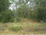 100 59th Ln Dunnellon, FL 34431 - Image 4445403