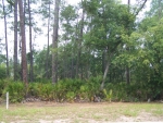 LOT 757 Saint Marys, GA 31558 - Image 4454464