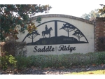 2945 SADDLE RIDGE LN Lakeland, FL 33810 - Image 4461679