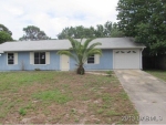 3227 Unity Tree Dr Edgewater, FL 32141 - Image 4490398