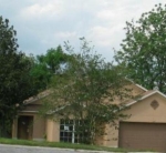 647 Falling Oak Cove Apopka, FL 32703 - Image 4516941