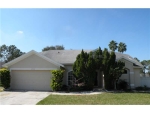 12106 Shady Forest Dr Riverview, FL 33569 - Image 4527596