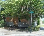 3603 THOMAS AV Miami, FL 33133 - Image 4530198