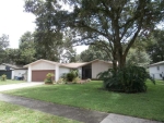 2425 Blind Pond Ave Lutz, FL 33549 - Image 4531380