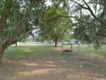 Cr 312 Bushnell, FL 33513 - Image 4543252