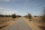 24687 Fm 902 Collinsville, TX 76233 - Image 4562359