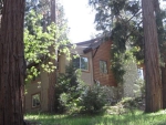 9408 Mill Dr Forest Falls, CA 92339 - Image 4565615