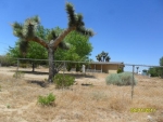 12370 Joshua Rd Phelan, CA 92371 - Image 4582061