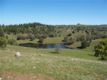 15640 Fiddletown Rd Volcano, CA 95689 - Image 4594385