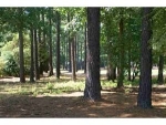 Highgate Dr- Lot 31 Greensboro, GA 30642 - Image 4612827