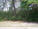 LOT 157 HAMILTON LAN Saint Simons Island, GA 31522 - Image 4618113