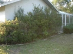 6104 Kinlock Avenue Spring Hill, FL 34608 - Image 4618399