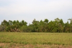 14422 BARRACUDA RD, LOT 265 BLK 28 Placida, FL 33946 - Image 4678082