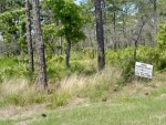 Lot 31 Royal Tern Way Carrabelle, FL 32322 - Image 4703441