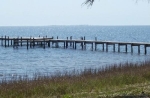 Highway 98 West Carrabelle, FL 32322 - Image 4703438