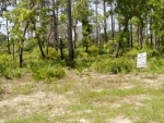 Lot 26 Royal Tern Way Carrabelle, FL 32322 - Image 4703451