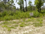 Lot 15 Royal Tern Way Carrabelle, FL 32322 - Image 4703450