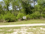 Lot 5 Royal Tern Way Carrabelle, FL 32322 - Image 4703440