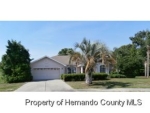 14207 Carlisle Dr Spring Hill, FL 34609 - Image 4766184