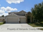 13774 Covey Run Pl Spring Hill, FL 34609 - Image 4766183