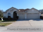 11388 Mcnally Dr Spring Hill, FL 34609 - Image 4766238