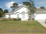 14033 Banyan Rd Spring Hill, FL 34609 - Image 4766484