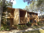 2480 Cypress Pond Rd Apt 1107 Palm Harbor, FL 34683 - Image 4816762