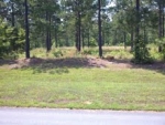 LOT 153 STILLWATER COVES Lincolnton, GA 30817 - Image 4827483