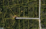 LOT 917, PHASE 9, CUMBERLAND HARBOUR Saint Marys, GA 31558 - Image 4833615