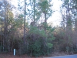 LOT 118 SATILLA RIVE Saint Marys, GA 31558 - Image 4833620