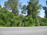 LOT 19 HOWEY RD Groveland, FL 34736 - Image 4840600