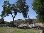 1609 Ben Hur Rd Raymond, CA 93653 - Image 4853817