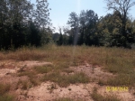 Lot 10 Hollingsworth Rd Covington, GA 30016 - Image 4899574