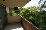 13705 SW 91 CT # 21-1 Miami, FL 33176 - Image 4934316