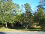 LOT 100 TUSCAN LANDING Waverly, GA 31565 - Image 4978094