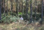 LOT 99 MIDDLETON PLANTATION Waverly, GA 31565 - Image 4978087