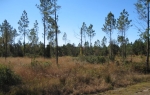 LOT 110 MIDDLETON PLANTATION Waverly, GA 31565 - Image 4978084