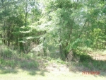 LOT 6 MIDDLETON PLAN Waverly, GA 31565 - Image 4978085